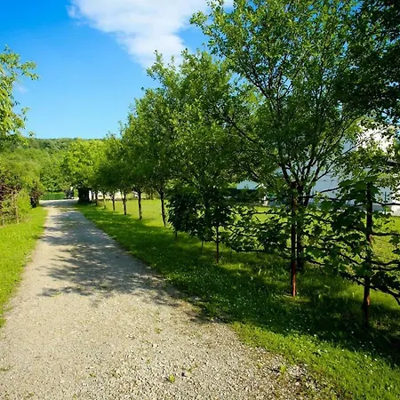 Lohovo Noor * Bihać